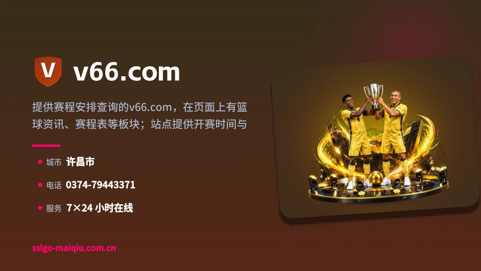 v66.com印象
